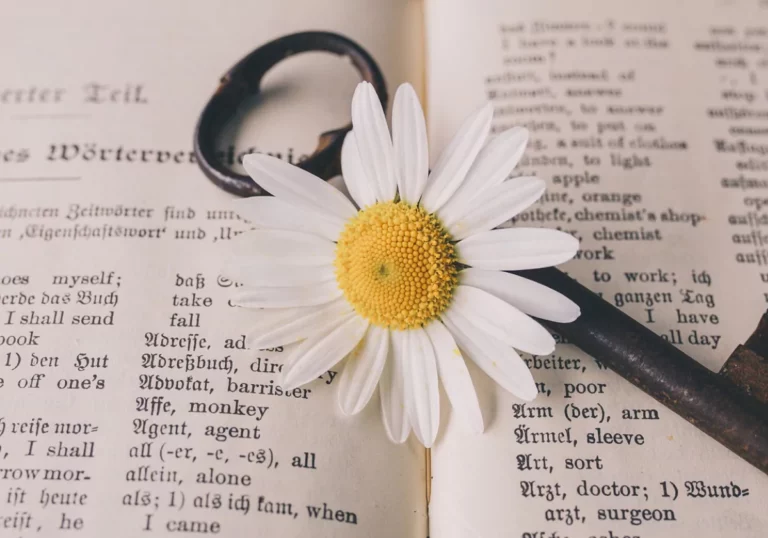 Słowniczek Ustawień Systemowych wg Berta Hellingera