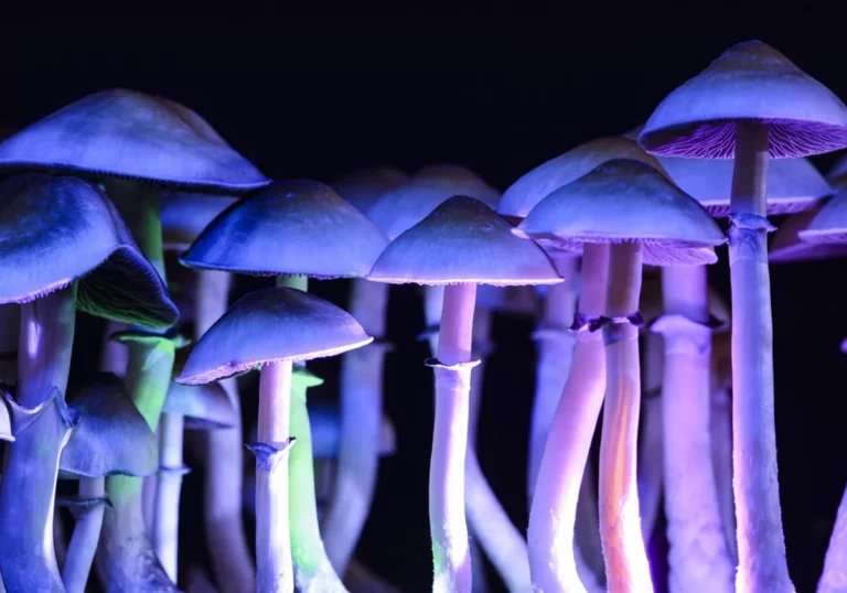 Czy hipnoza jest jak trip na psychodelikach?