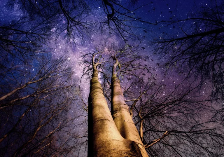 Dziedziczenie traum przez pokolenia: Psychologia i duchowość 